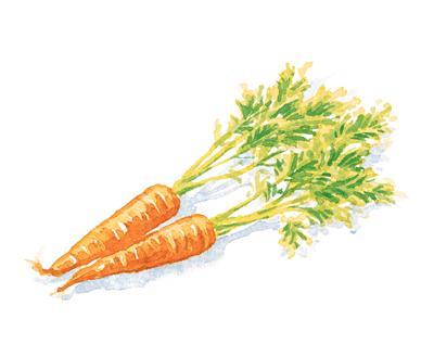 Fagottini di Culatello