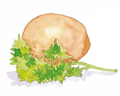 Bocconcini di coniglio alla Pancetta al Pepe Aurora