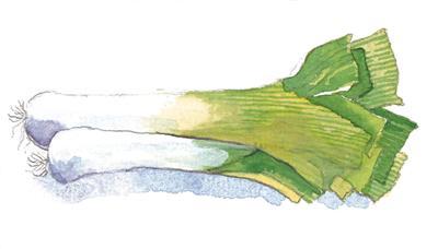 Risotto con borlotti e pancetta Aurora