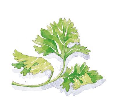 Canapè sfiziosi Aurora