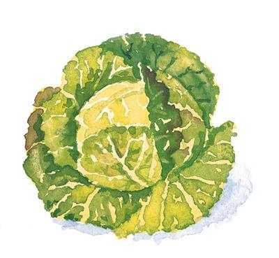 Maiale in casseruola Aurora